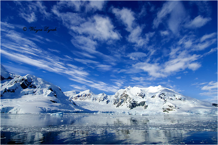 Paradise Bay Antarctic Peninsula 104 by Dr. Wayne Lynch &copy;